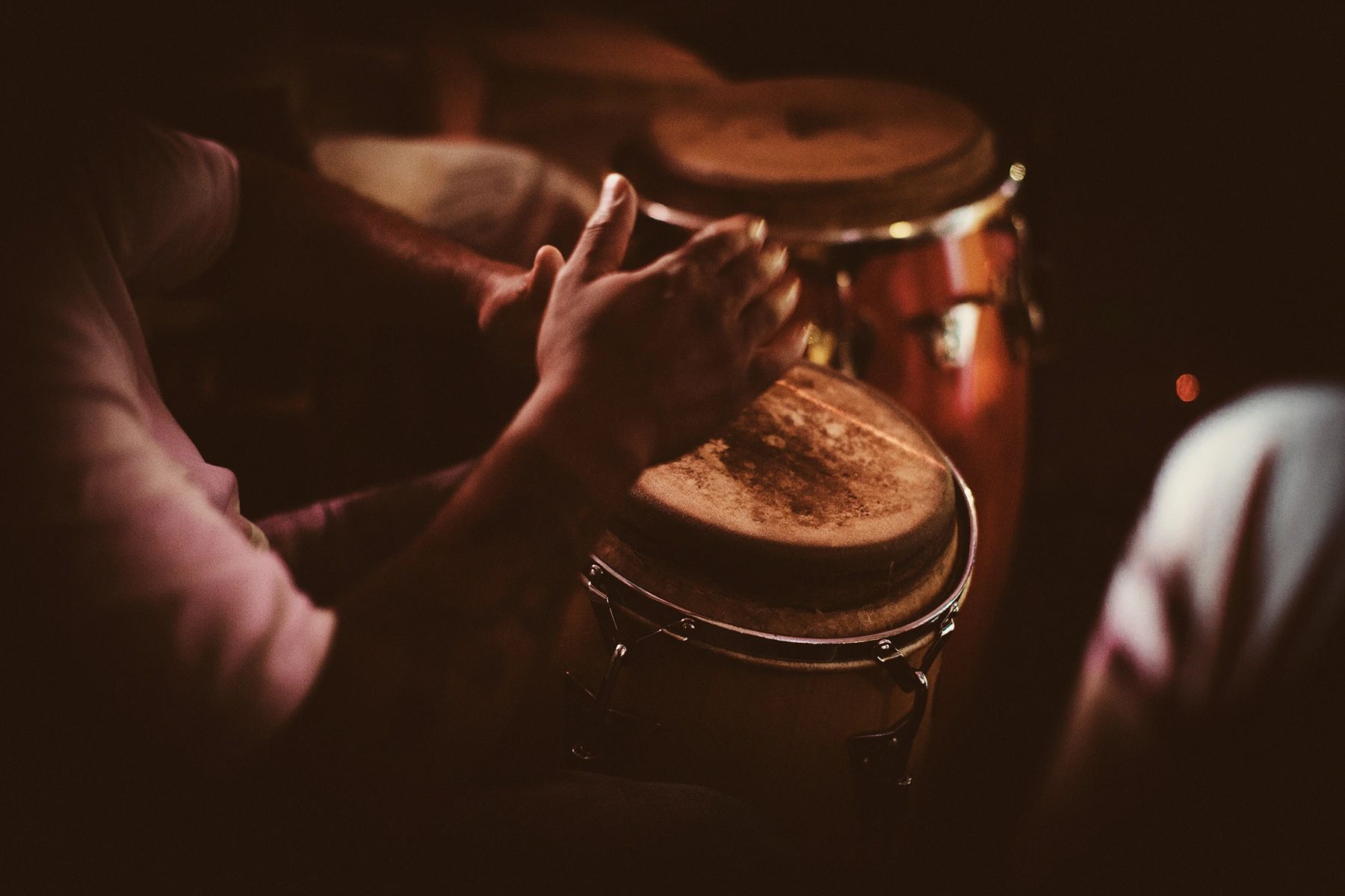 Latin percussion instruments, congas, drums, celebration, nonprofit